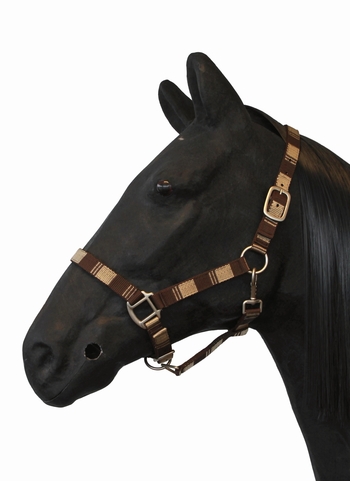 Halster Trendy Halster Trendy