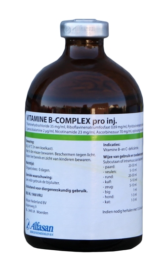 Vitamine B-complex Pro Inj. NL VRIJ - Boerenwinkel