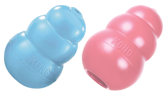 KONG Puppy L 10,1 cm Blauw of Roze