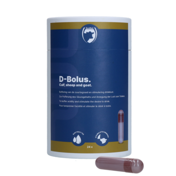 D-Bolus (Bicarbonate pill)