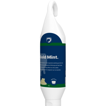 Gold Mint Standing-/hanging bottle