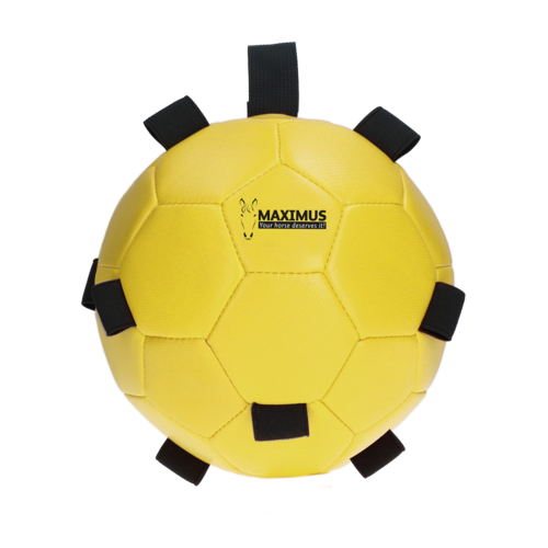 Maximus Fun Play Ball Yellow