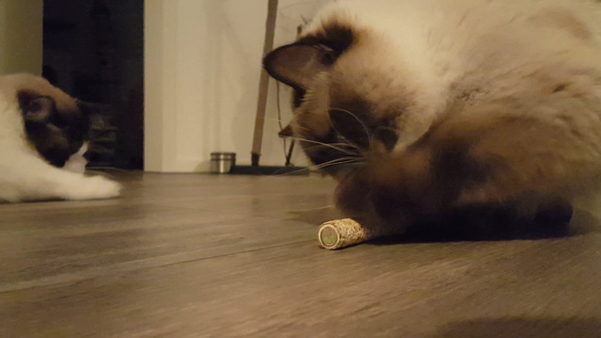 Addicted 2 Sticks