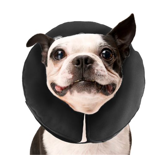 Zenpet ProCollar Hondenkraag M