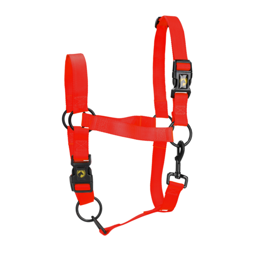 Excellent Horse Essential Halster XL Full Rood