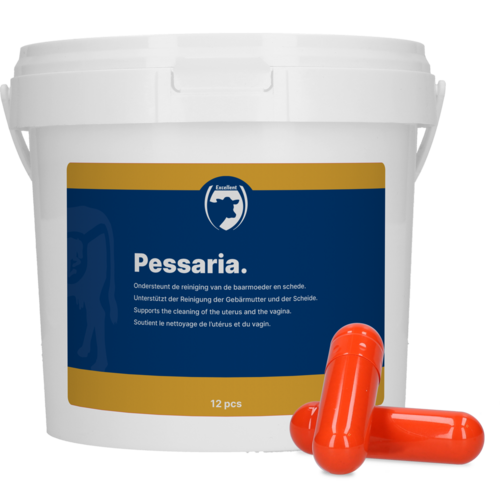 Pessaria Capsule 12 st