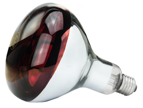 Lamp 150 W infrarood Hard Glas