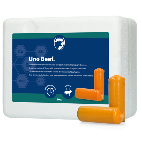 UNO Beef (Vleesvee)