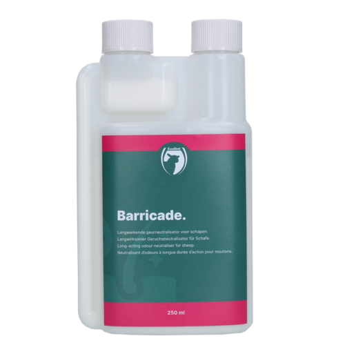 Barricade schaap