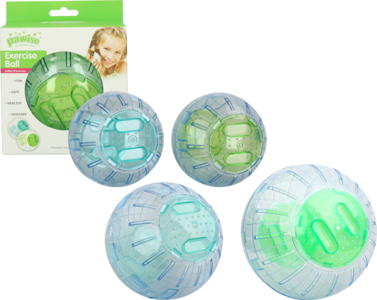 Pawise Exercise Ball 13 cm