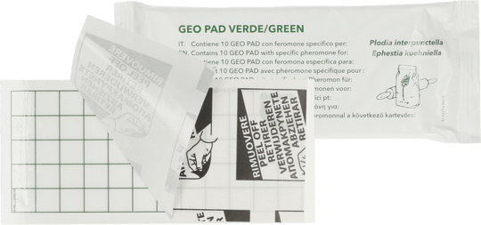 Geo Lijmplaat Levensmiddelenmot (Ephestia/Plodia)
