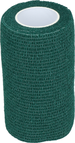 Bandage Animal Groen Profi 10 cm