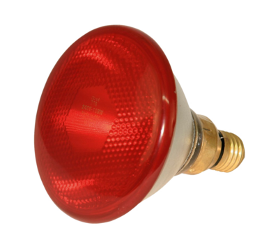 Lamp 100 W wit spaar