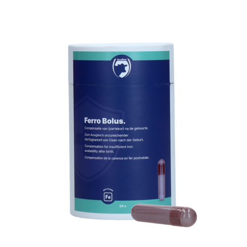 Ferro Bolus C