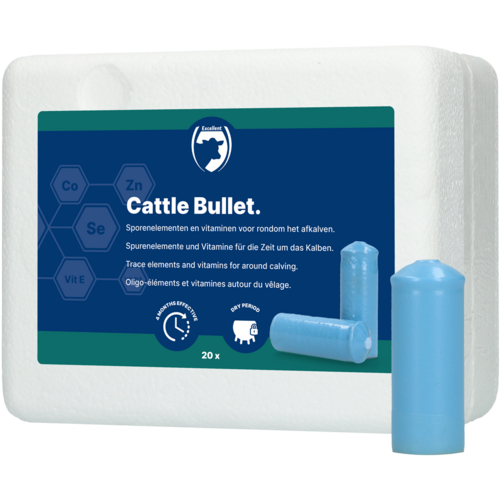 Cattle Bullet      