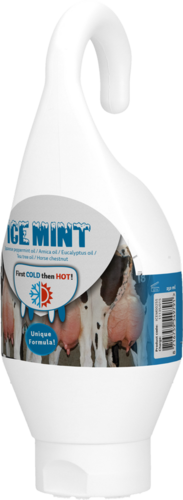 Ice Mint Gel Sta- / Hangtube 250 ml