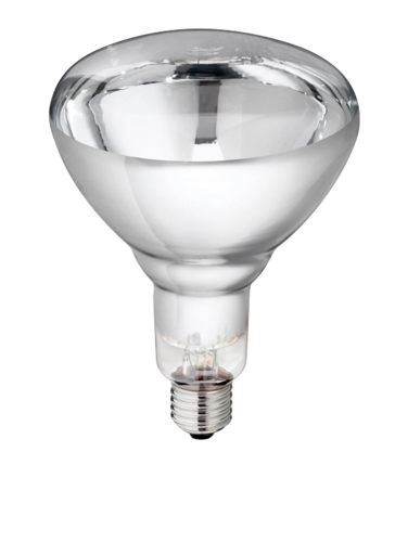 Lamp 250w wit Hard Glas Philips