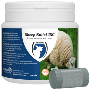 Sheep Bullet ISC for Ewes